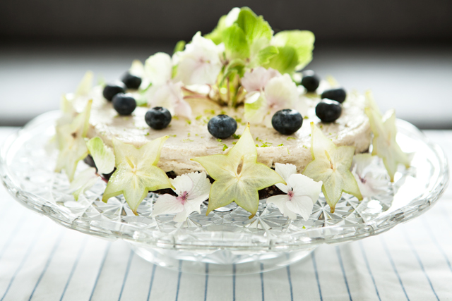 RAW Blueberry Lime Cake