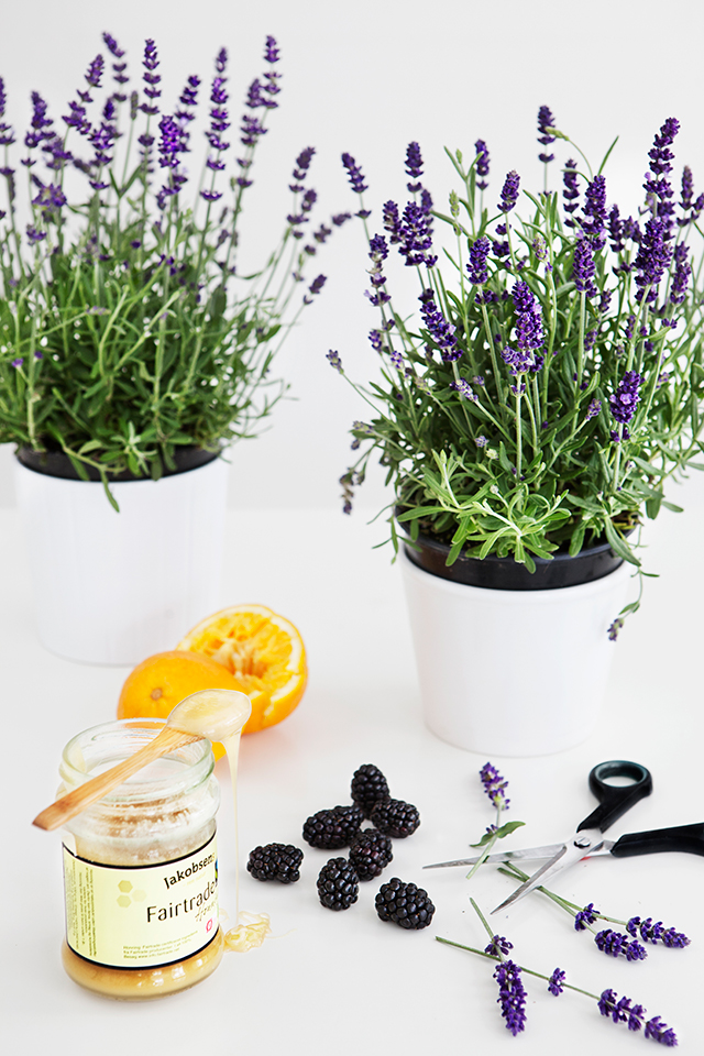 Lavender Syrup with Blackberry Panna Cotta