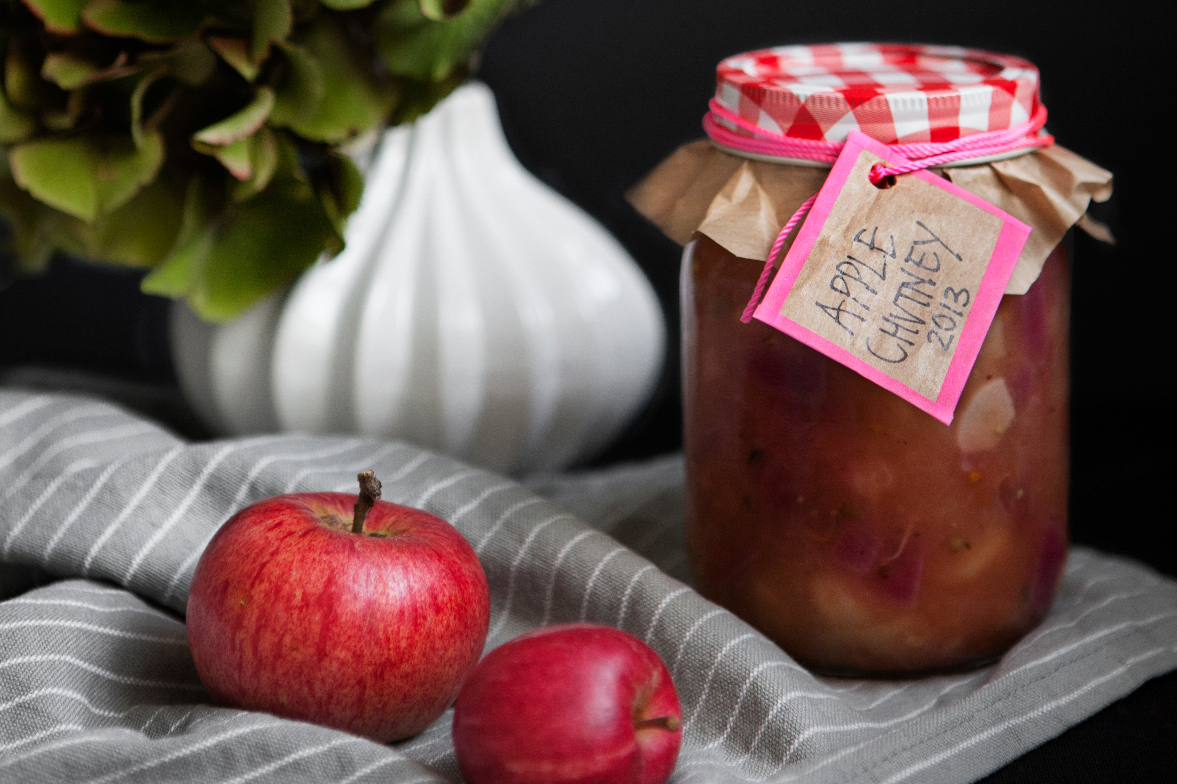 Apple Chutney Recipe | Modern Wifestyle