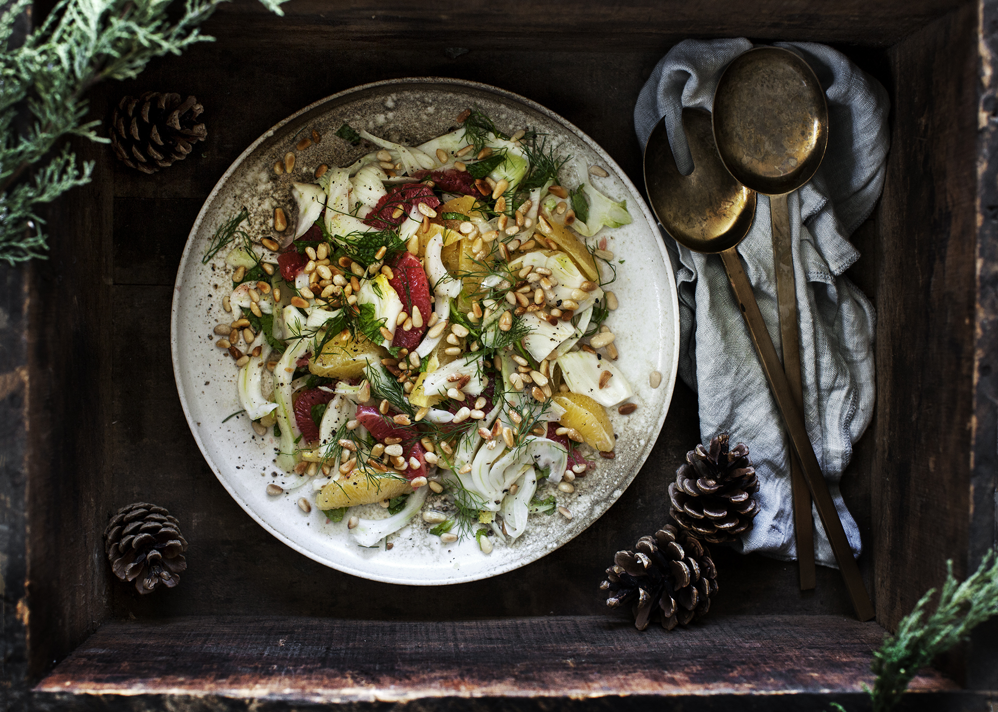 Citrus and Fennel Salad Recipe Modern Wifestyle