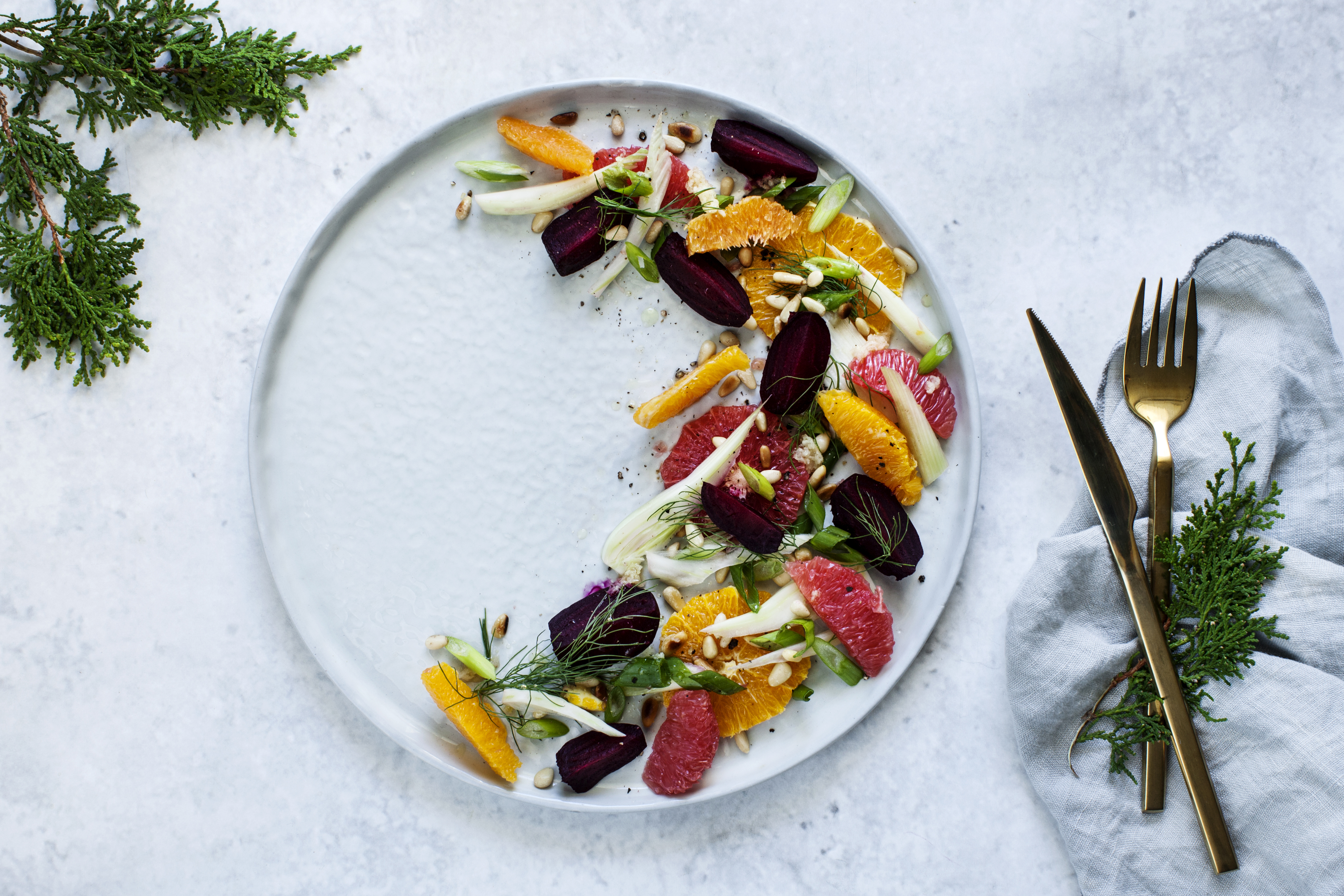 Citrus and Fennel Salad Recipe Modern Wifestyle