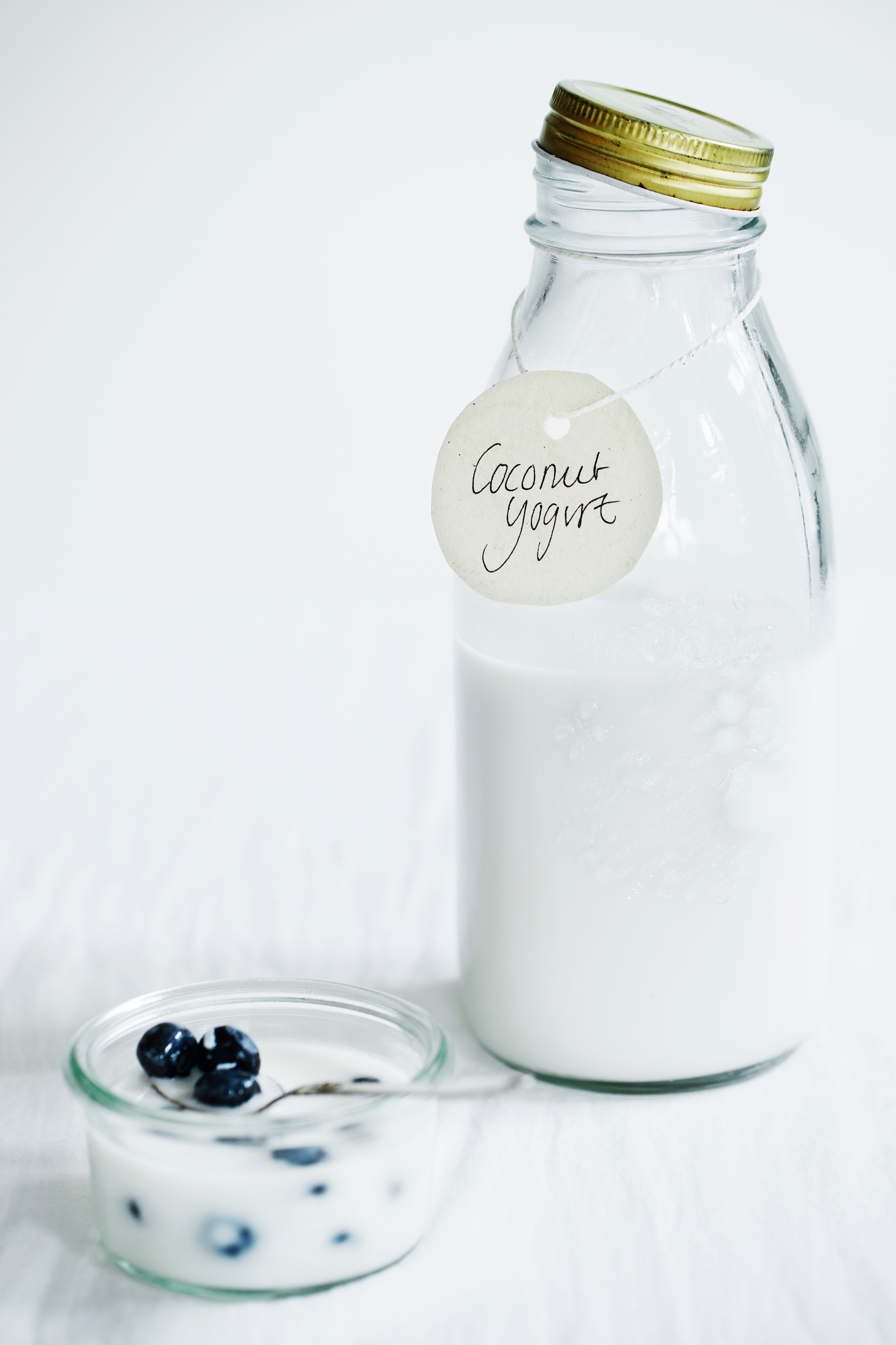 Coconut Yogurt Recipe | Modern Wifestyle