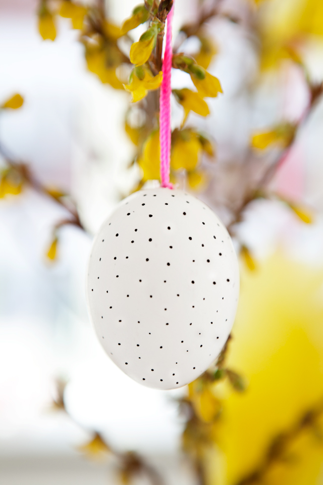 Blown out Easter Eggs decorated with permanent marker