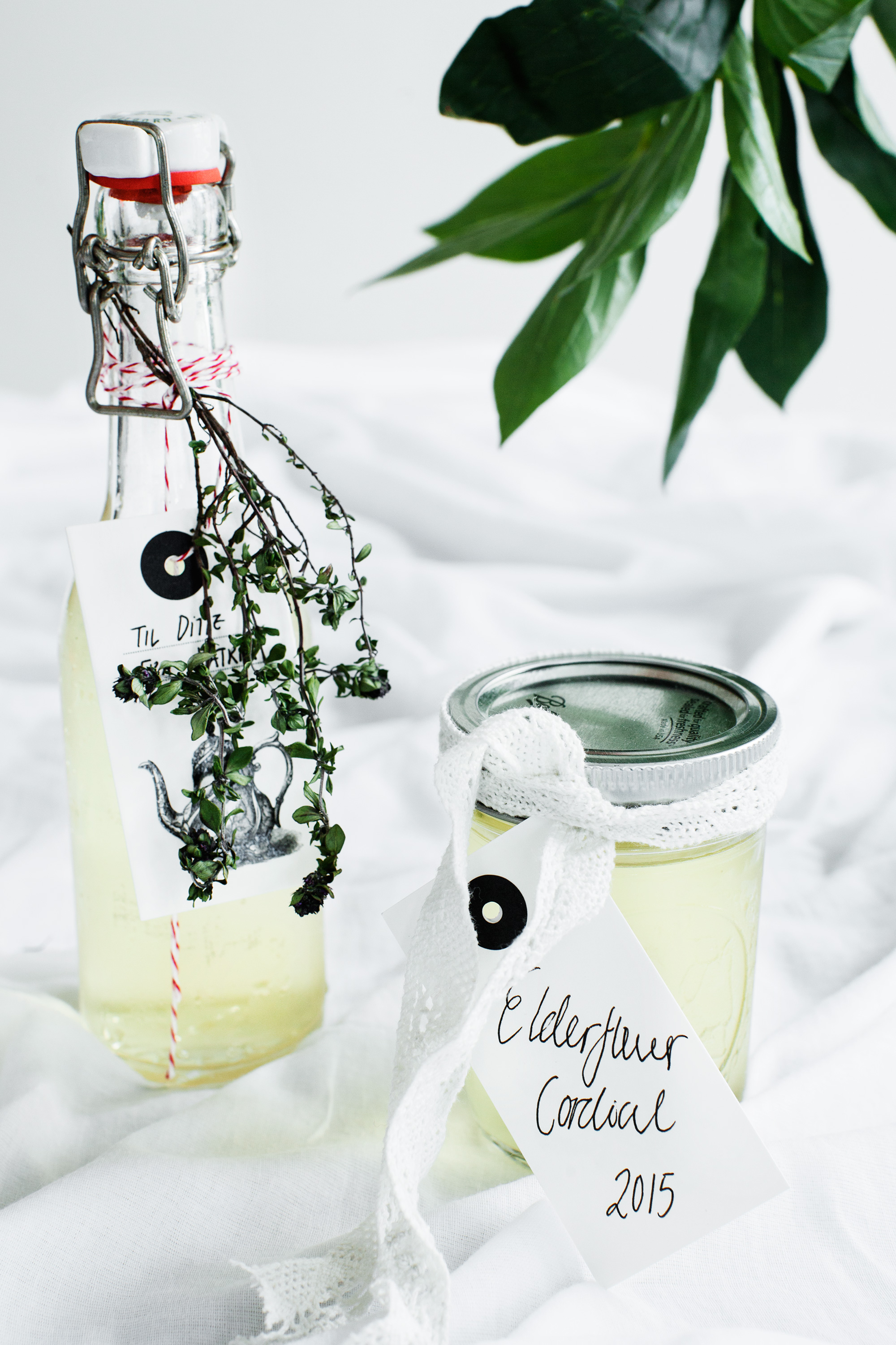 Elderflower Cordial Recipe #summer #modernwifestyle