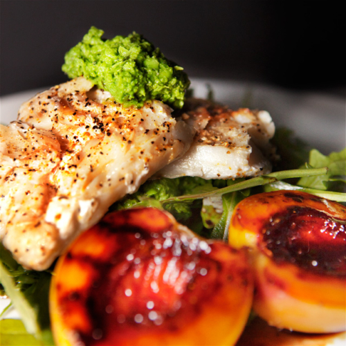 Fish with glazed Nectarines and Pea Purée