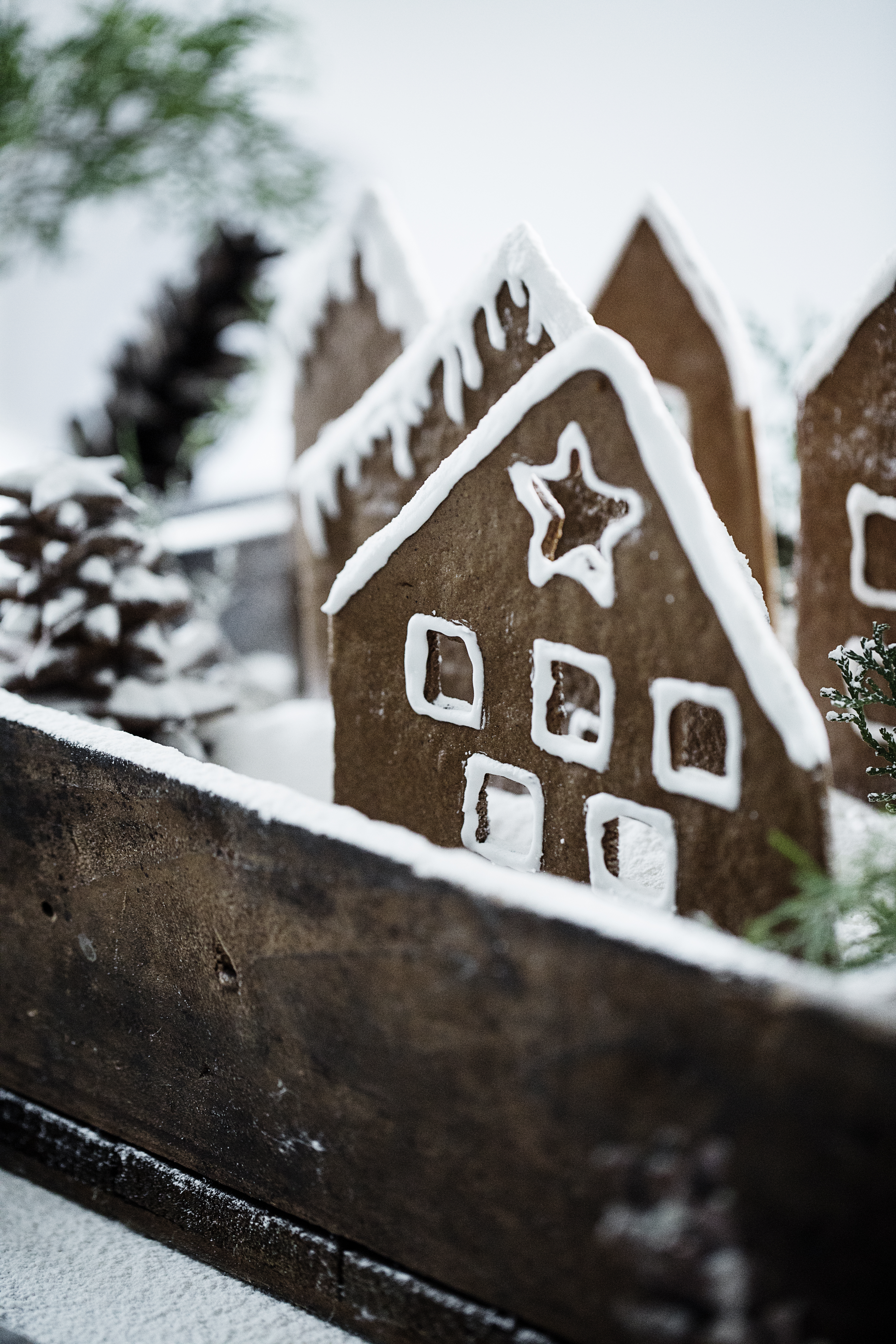 Recipe: Gingerbread Houses