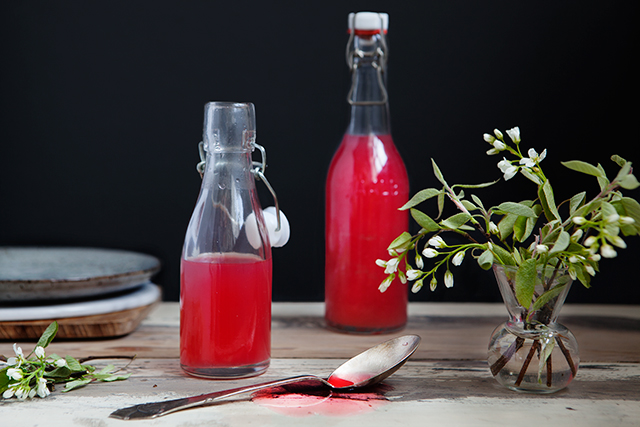 Rhubarb Syrup Recipe by Modern Wifestyle