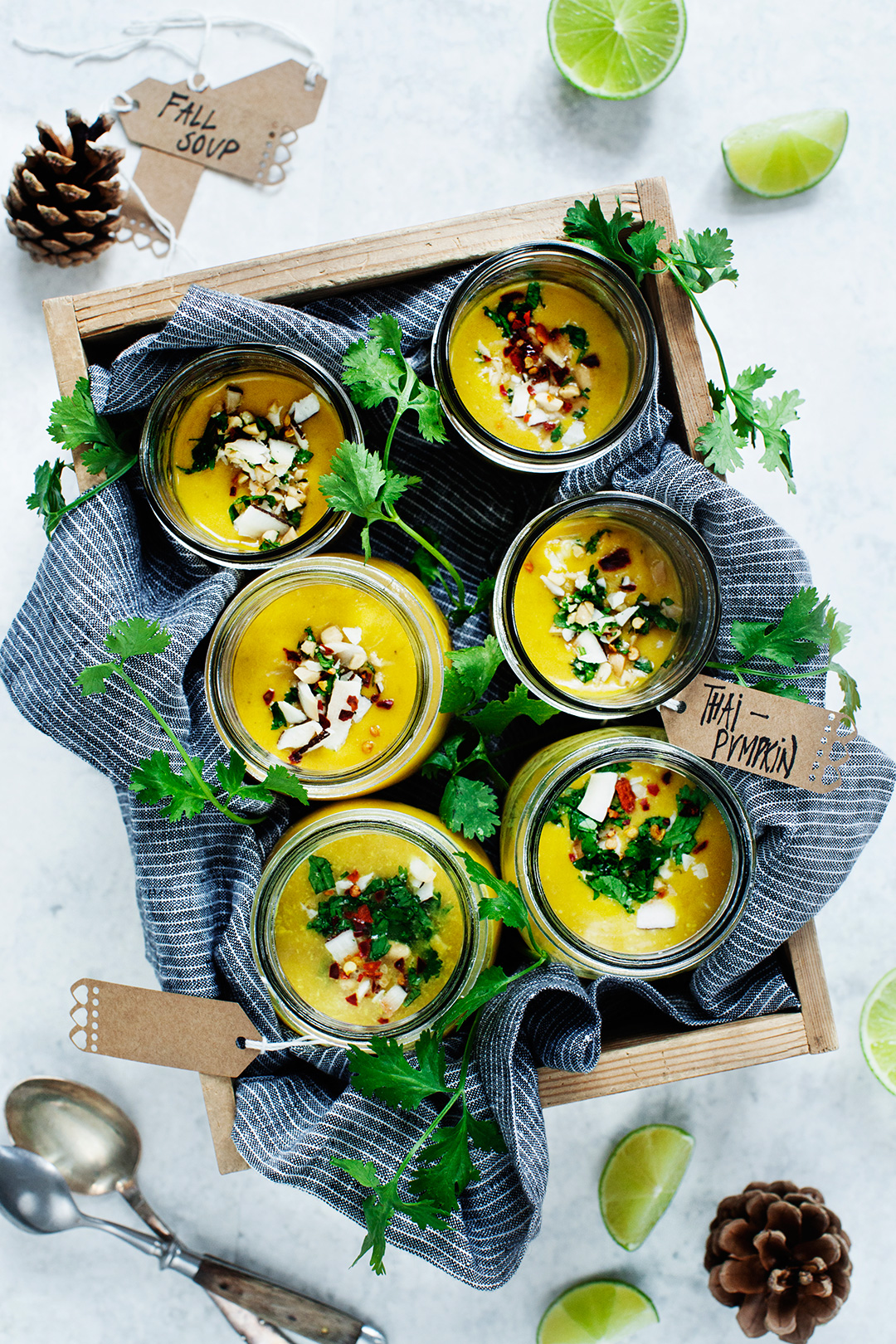 Thai Pumpkin Soup | Modern Wifestyle