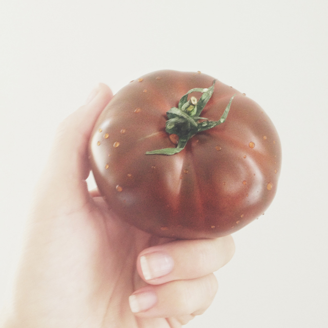 Tomato Salad - Holding on to summer